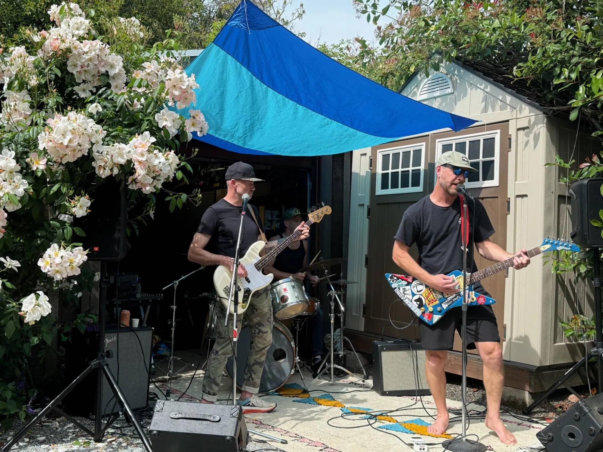 Torpedo Wharf playing a backyard party under a blue canopy beside climbing roses